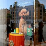 1050x600 passers by are reflected on the window of a dolce and gabbana luxury fashion house boutique displaying their new perfume for dogs called fefe in central rome o nyos8411pkqn 2