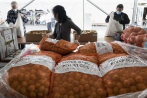 People at foodbank at table with potatoes