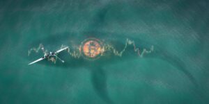 bitcoin whales surface gID 7