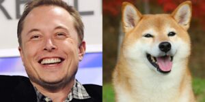 elon musk dogecoin gID 7