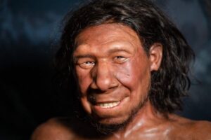 krijn neanderthal face reconstruction