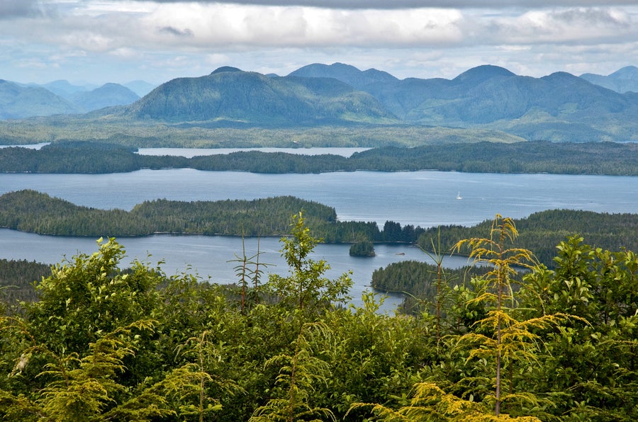 view of great bear rainforest heiltsuk territory