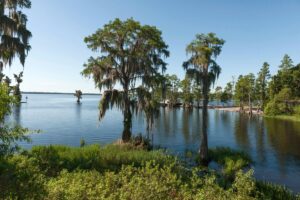 Cypress Lake Cove in Lake county Central Florida