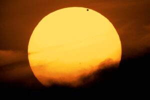 venus transits sun