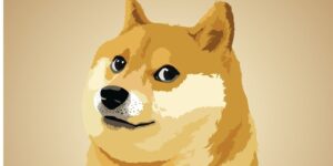 doge dogecoin meme kabosu gID 7