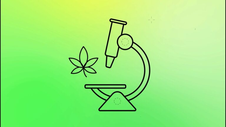 THC Decoded Site Art