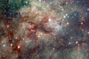 Tarantula nebula