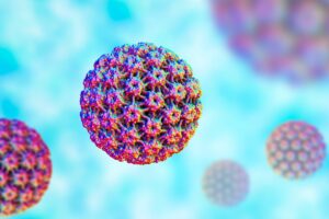 human papilloma virus hpv