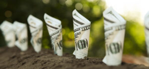 money planted in ground in rows represent growing cash getty
