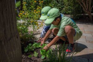 young volunteers carefully plant new flowers