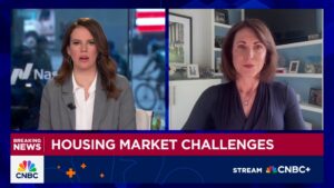 Homebuilders are really challenged right now, says Ivy Zelman