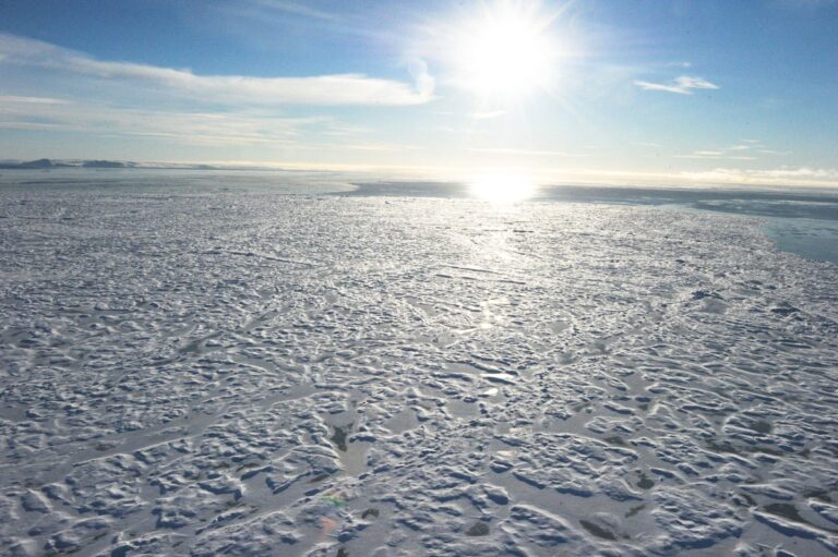 Canadian Arctic
